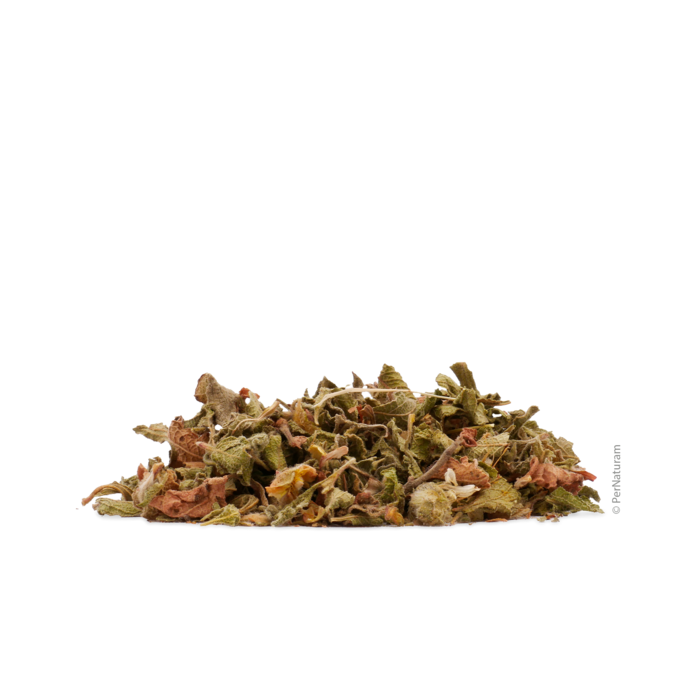 Kretische Zistrose (200 g)