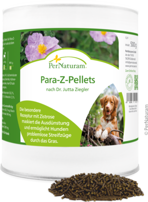 Para-Z-Pellets nach Dr. Jutta Ziegler 500 g