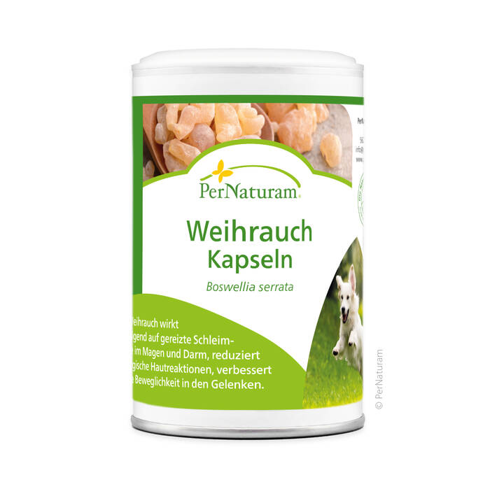 Weihrauch Kapseln 100 Stk