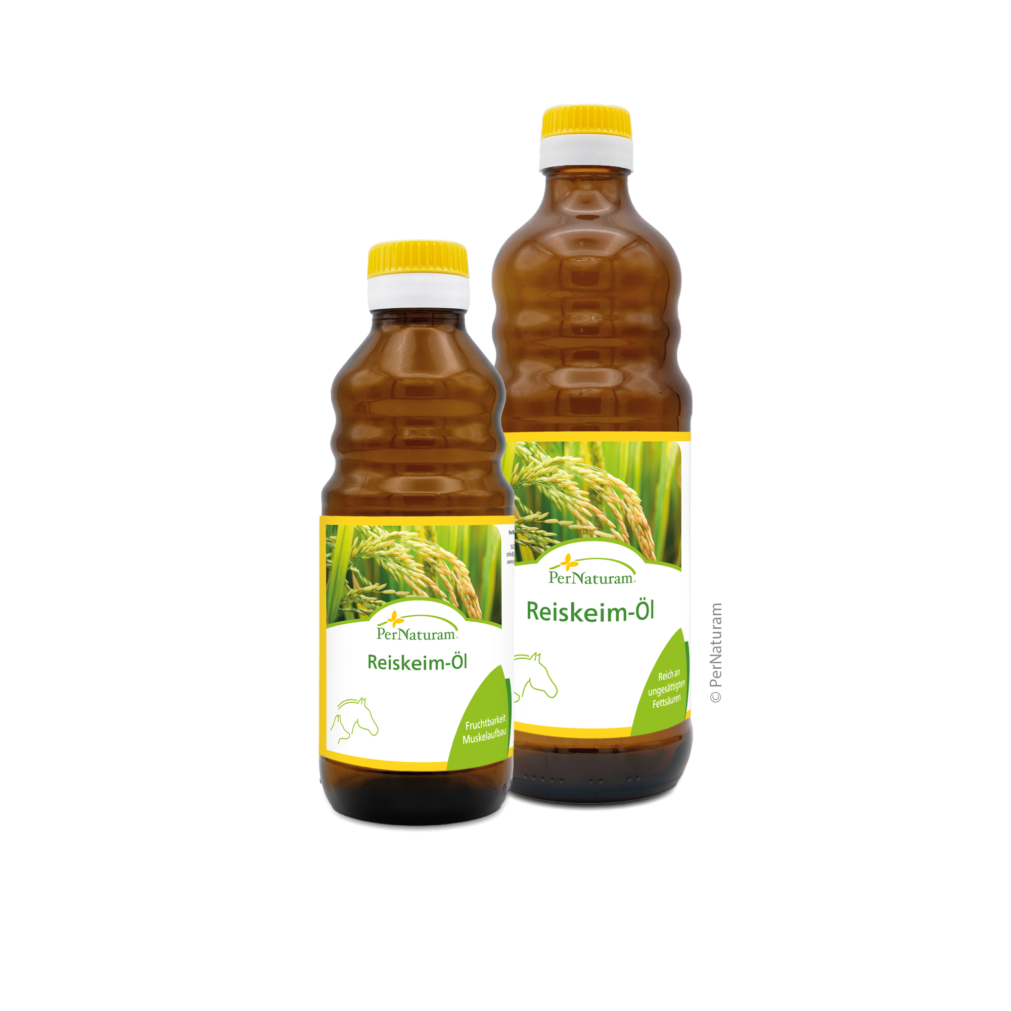 Reiskeim-Öl