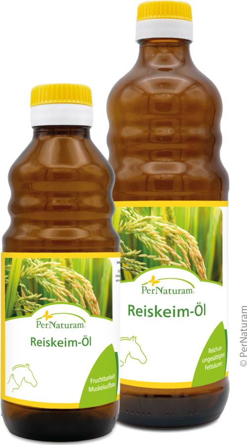 Reiskeim-Öl