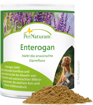 Enterogan - DarmKur 100 g