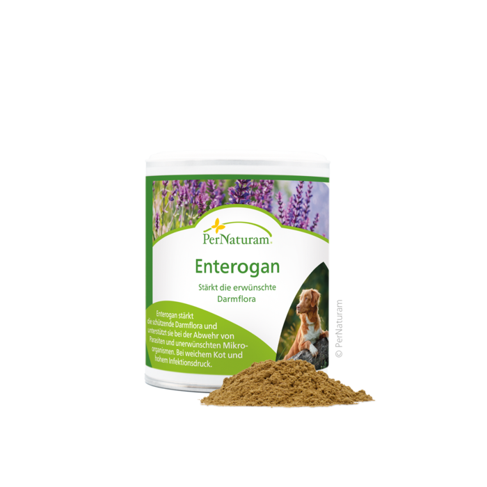 Enterogan - DarmKur 100 g