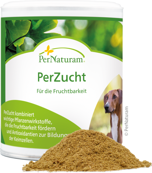 305001 PN H PB PerZucht 100g WEB