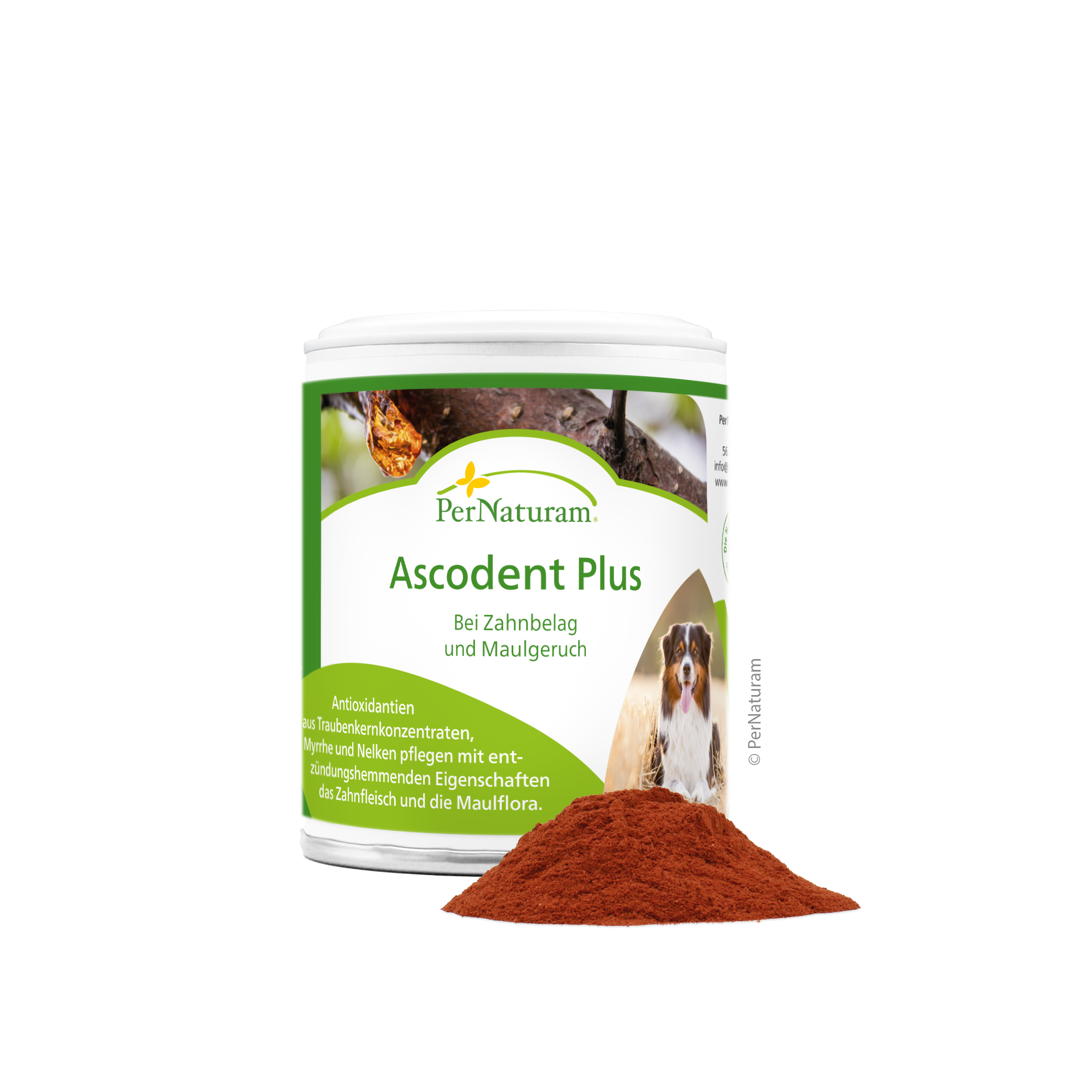Ascodent Plus - ZahnHygiene