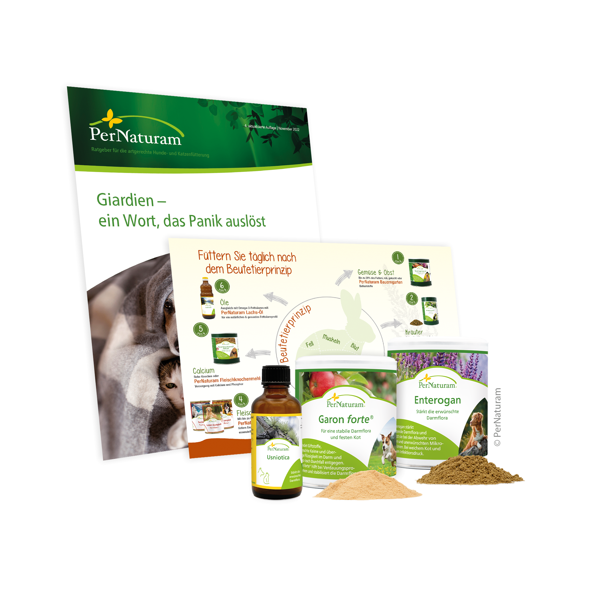 GiarExil Paket web