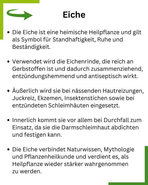 Eiche Summary