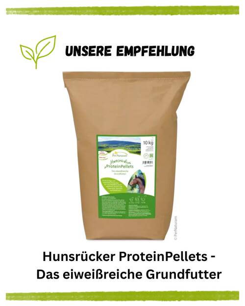 Pferd Muskulatur Produktempfehlung