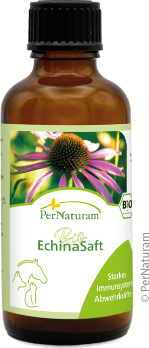 Bio Echina ImmunSaft 50 ml