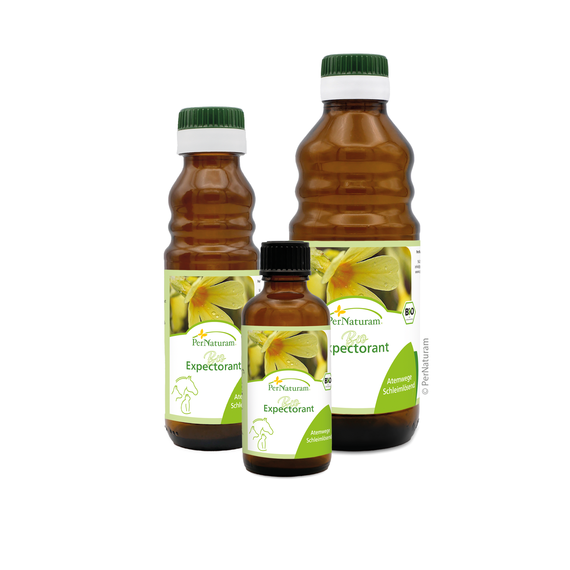 Bio Expectorant BronchialSaft