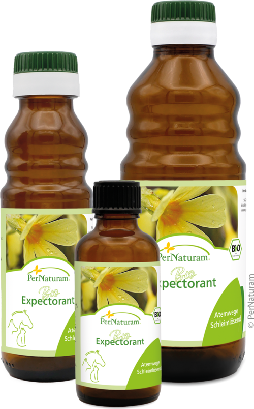 Bio Expectorant BronchialSaft