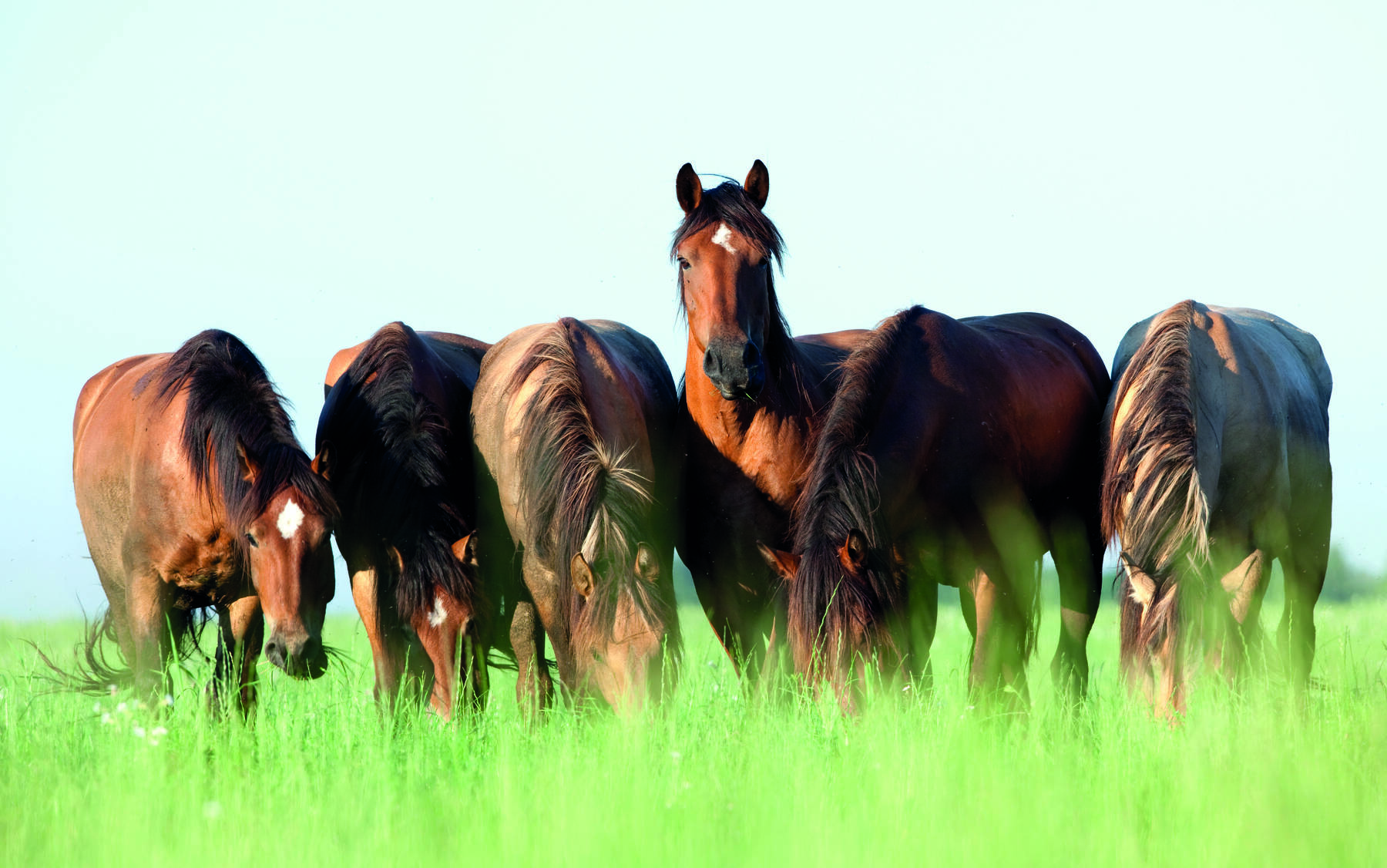 IStock 160586866 mit ©
