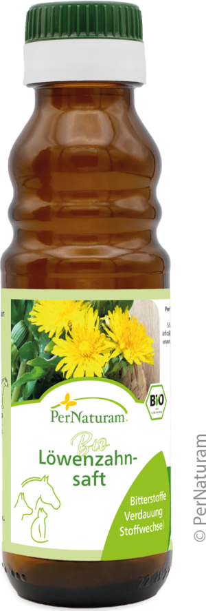 Bio Löwenzahnsaft 100 ml