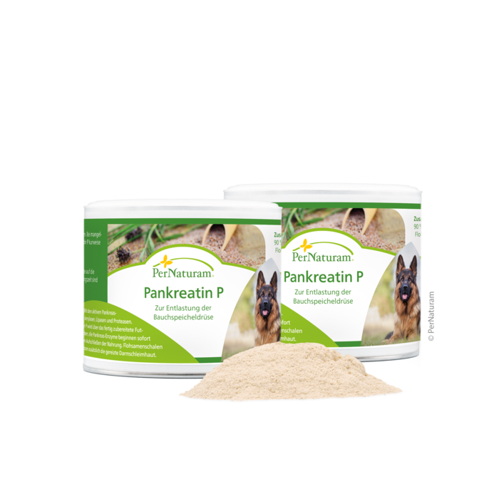 Pankreatin P