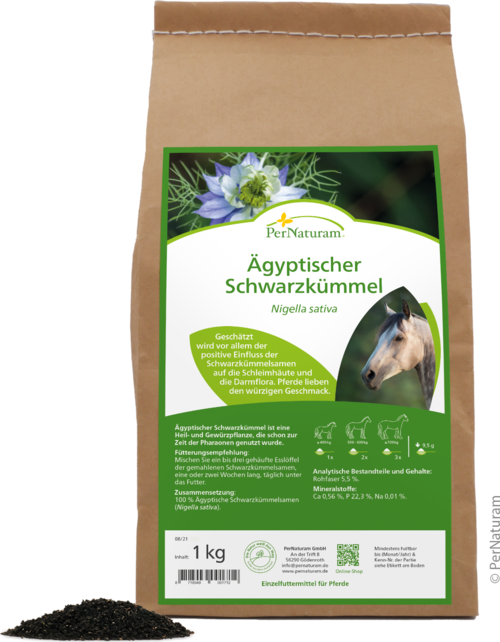 Ägyptischer Schwarzkümmel