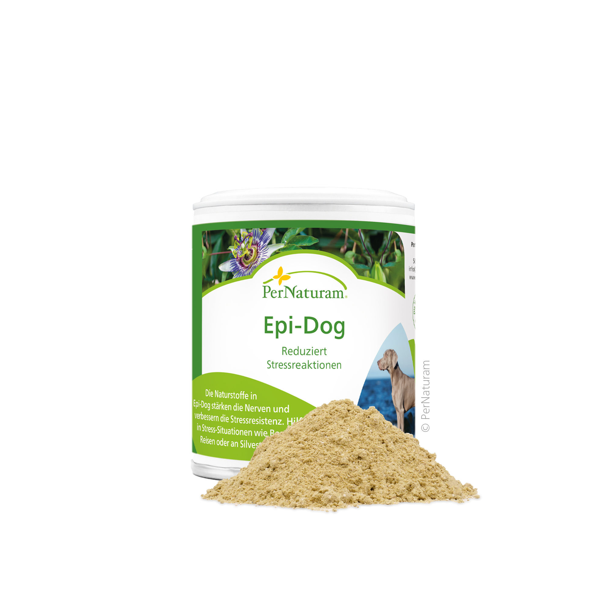 Epi-Dog - StressResilienz
