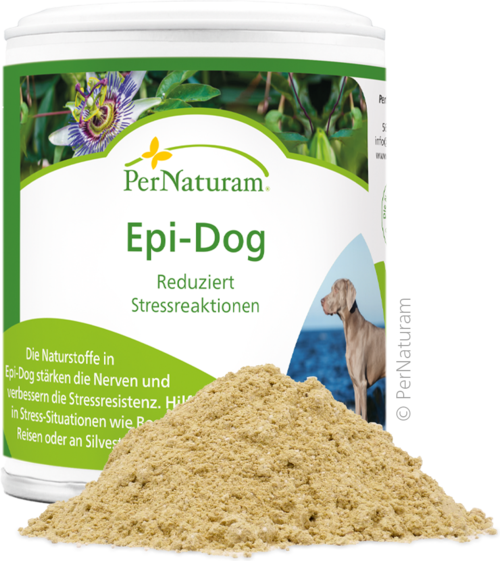 Epi-Dog - StressResilienz