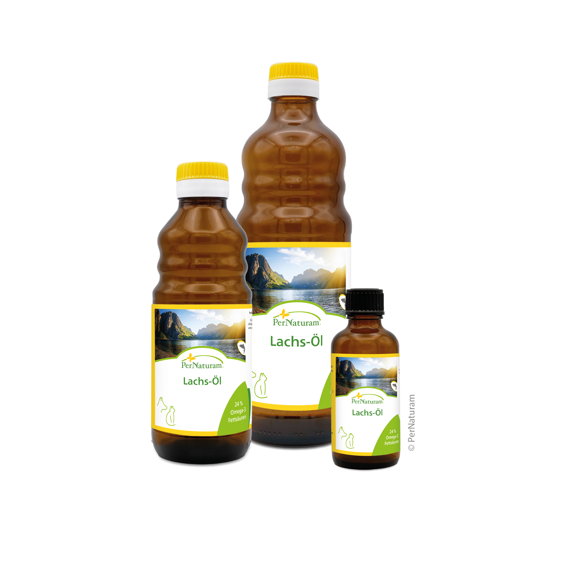 Lachs-Öl