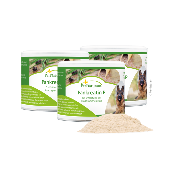 Pankreatin P