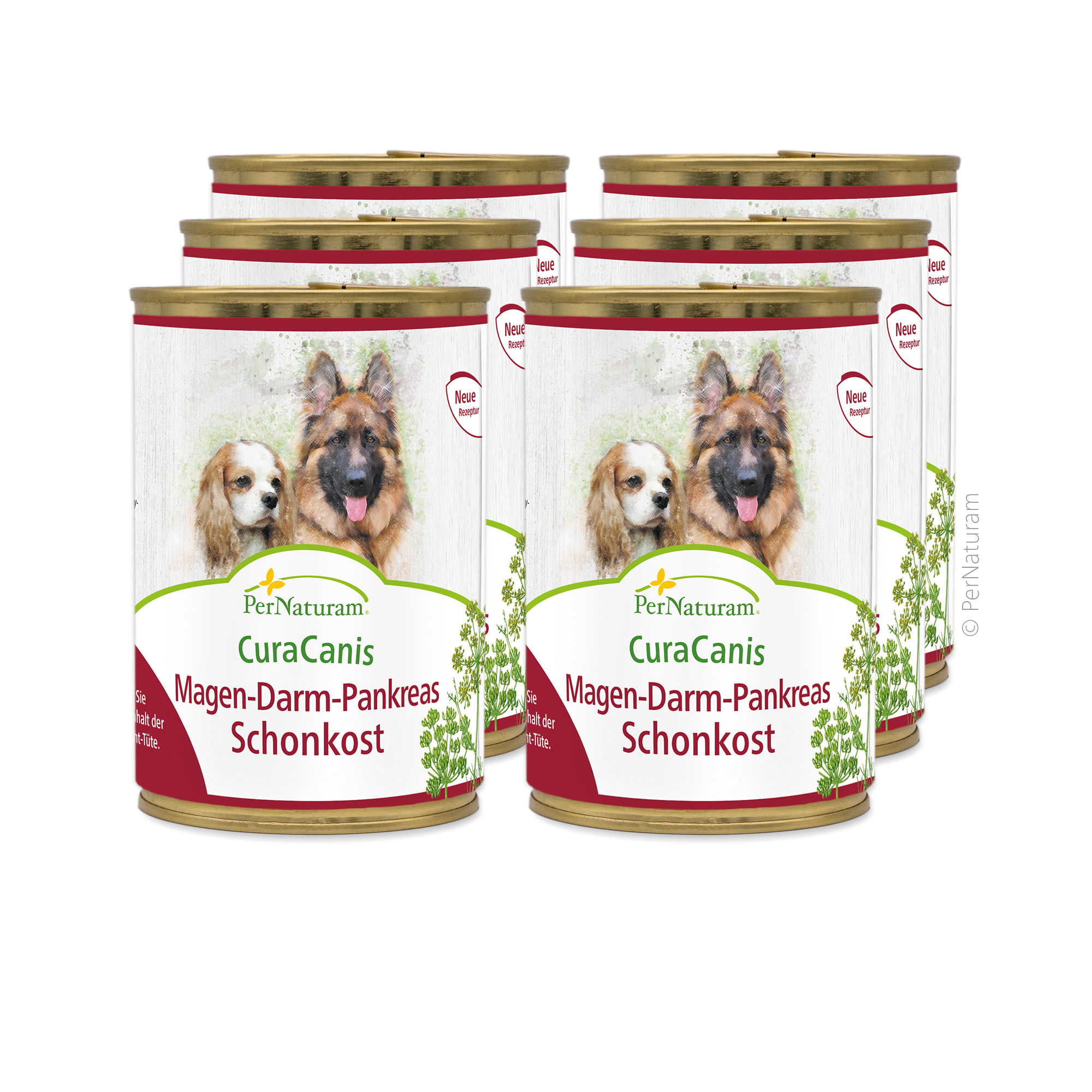 CuraCanis Magen-Darm-Pankreas Schonkost (6x400 g)