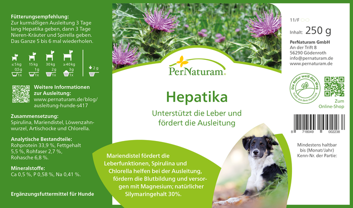 Hepatika - LeberKräuter