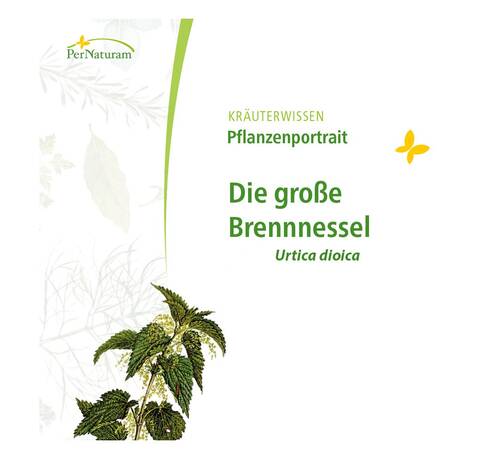blog/die-brennnessel