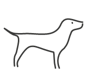 Hund03
