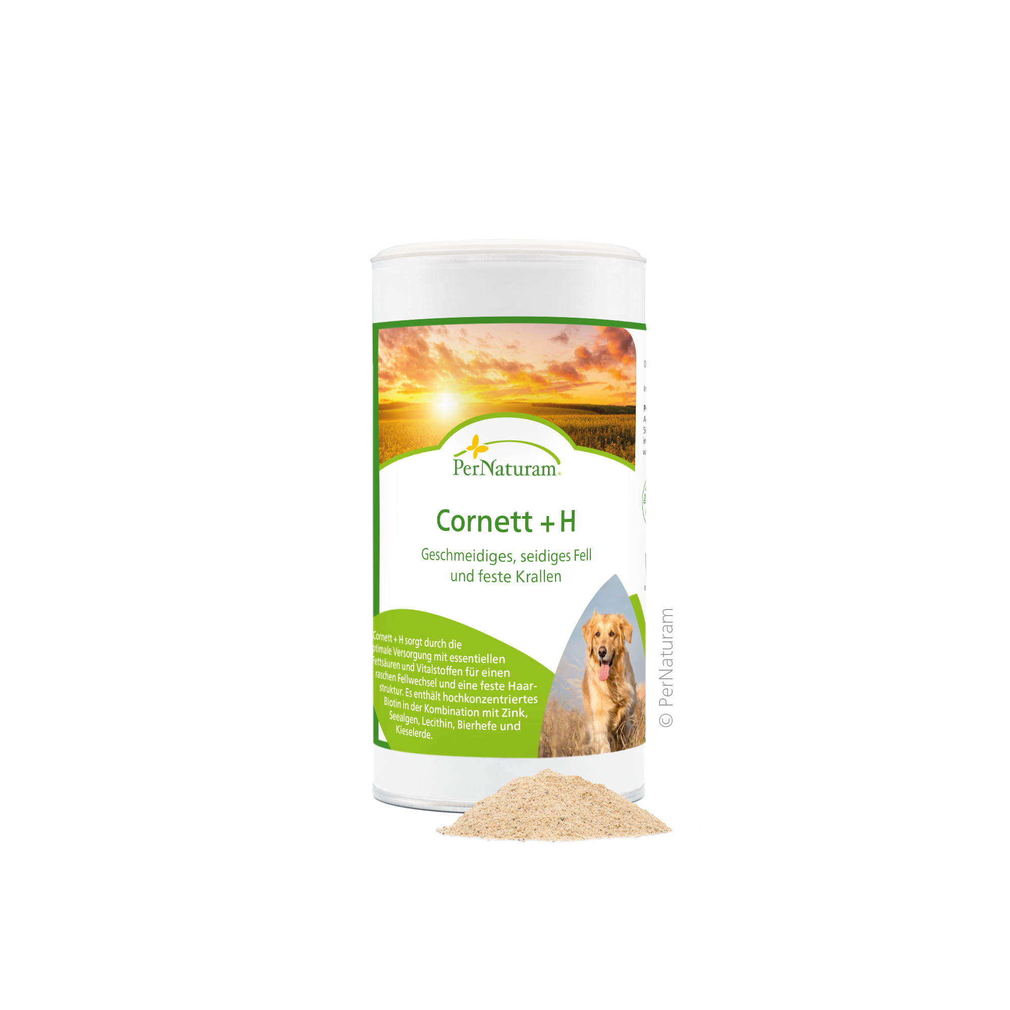 Cornett +H