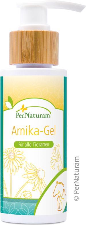 Arnika-Gel 100 ml