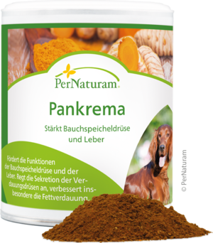 Pankrema - Starke Bauchspeicheldrüse 100 g