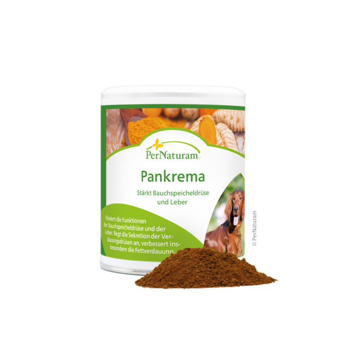 Pankrema - Starke Bauchspeicheldrüse 100 g