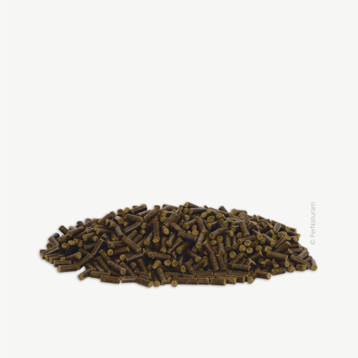 Para-Z-Pellets nach Dr. Jutta Ziegler