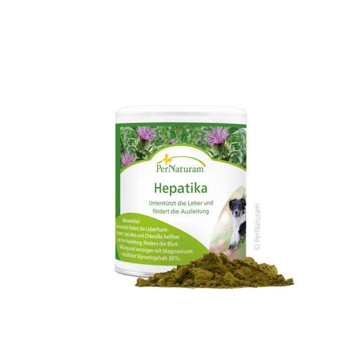 Hepatika - LeberKräuter 100 g