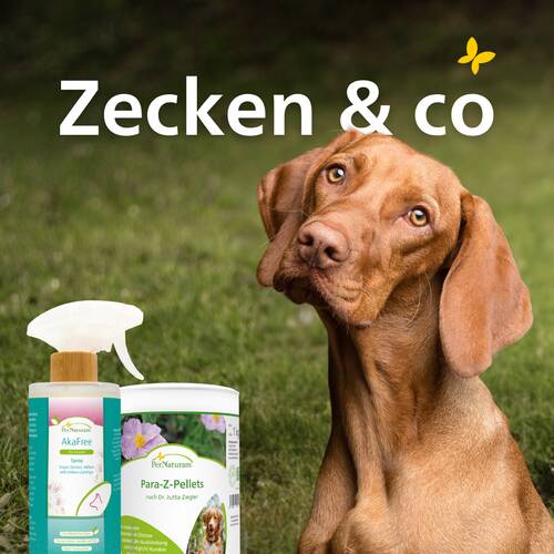 Zecke & Co