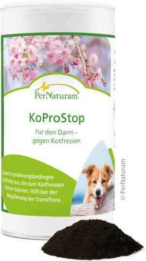 KoProStop - DarmRegeneration 250 g
