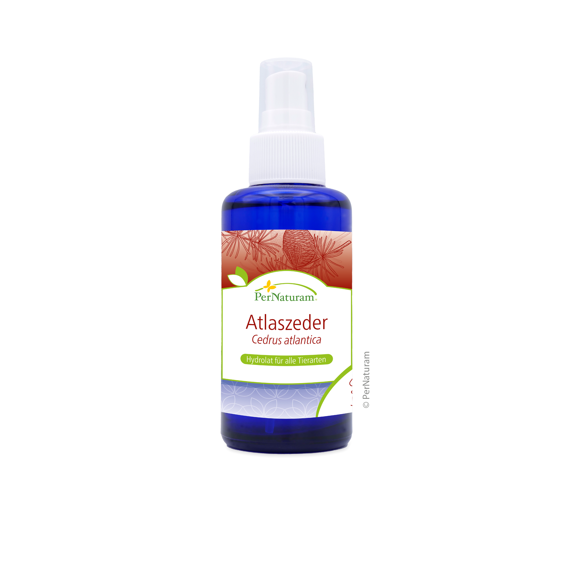 Atlaszeder Hydrolat (100 ml)