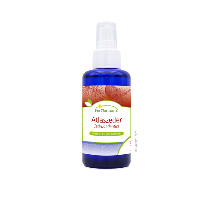 Atlaszeder Hydrolat (100 ml)