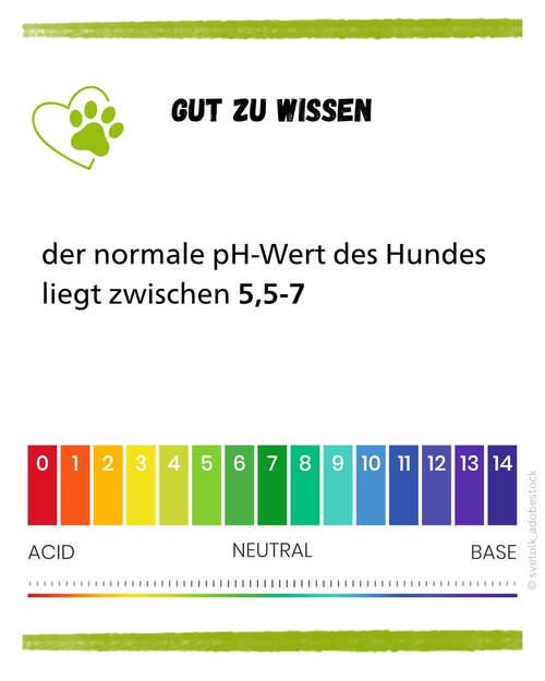 PH Hund Normwert