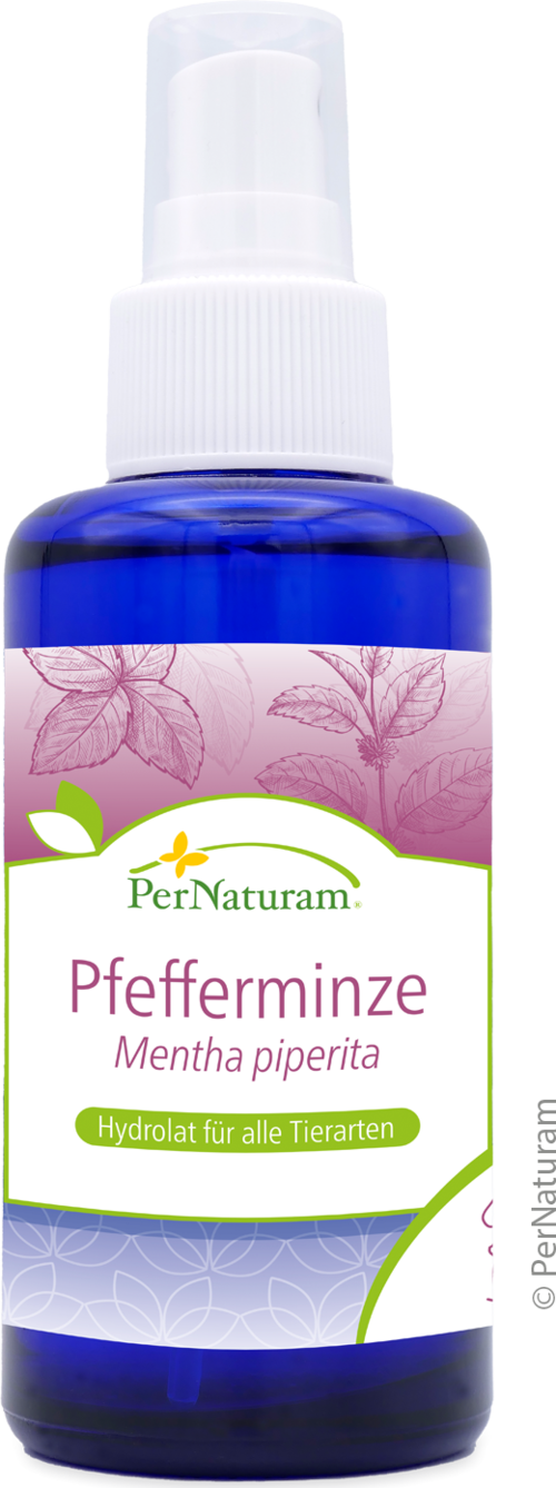 Pfefferminze Hydrolat (100 ml)