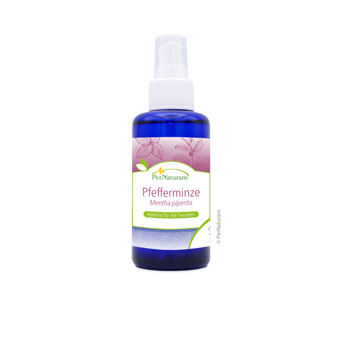 Pfefferminze Hydrolat (100 ml)