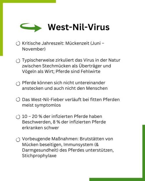 West Nil Virus Textgrafik