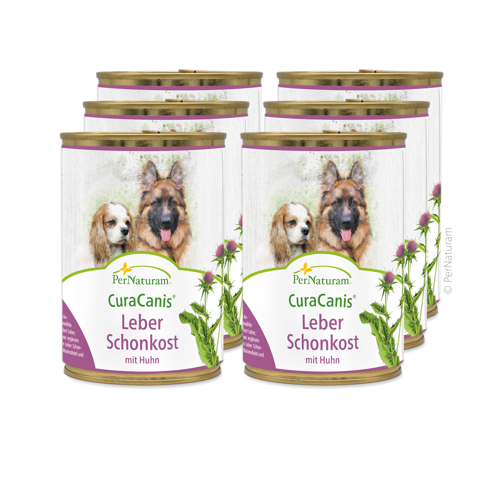 Schonkost Fleischdosen & Allergie