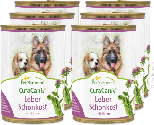 Schonkost Fleischdosen & Allergie