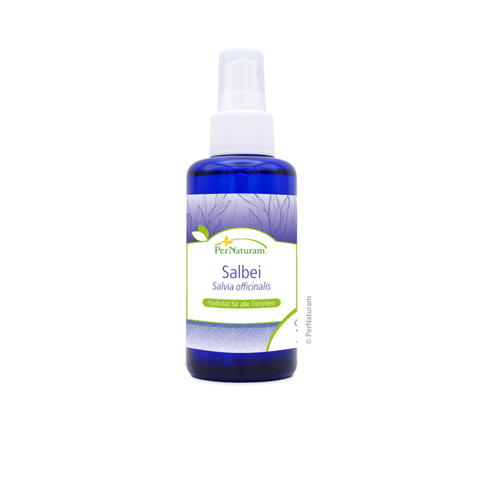 Hydrolat de sauge (100 ml)