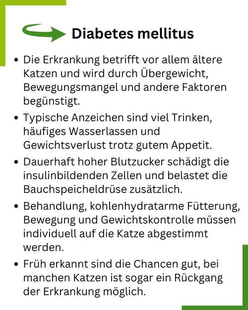 Diabetes Zusammenfassung