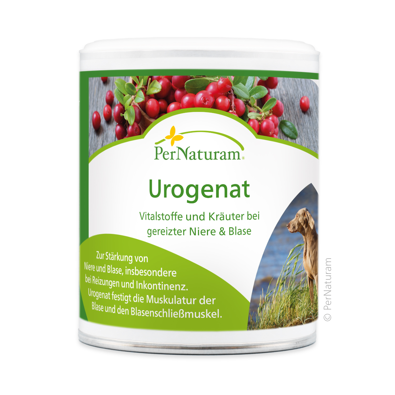 Urogenat - BlasenAkut