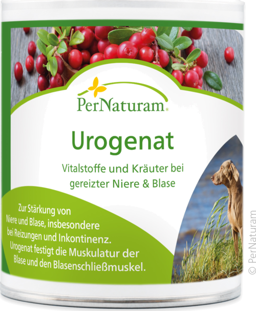 Urogenat - BlasenAkut