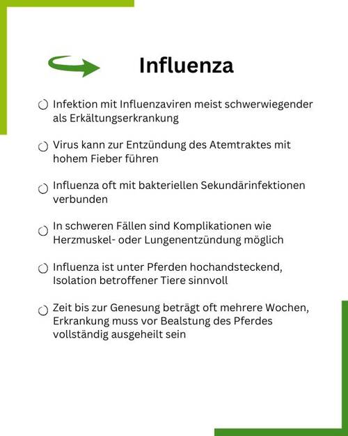 Influenza Textgrafik