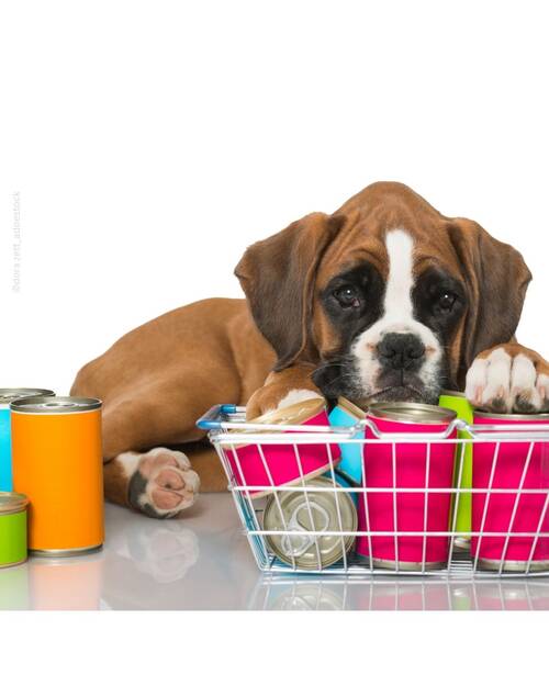 Futtervergleich Konventionelle Dosen