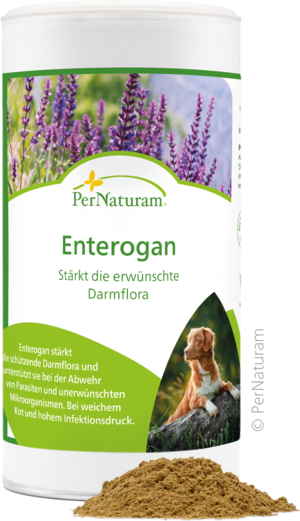 Enterogan - DarmKur 250 g